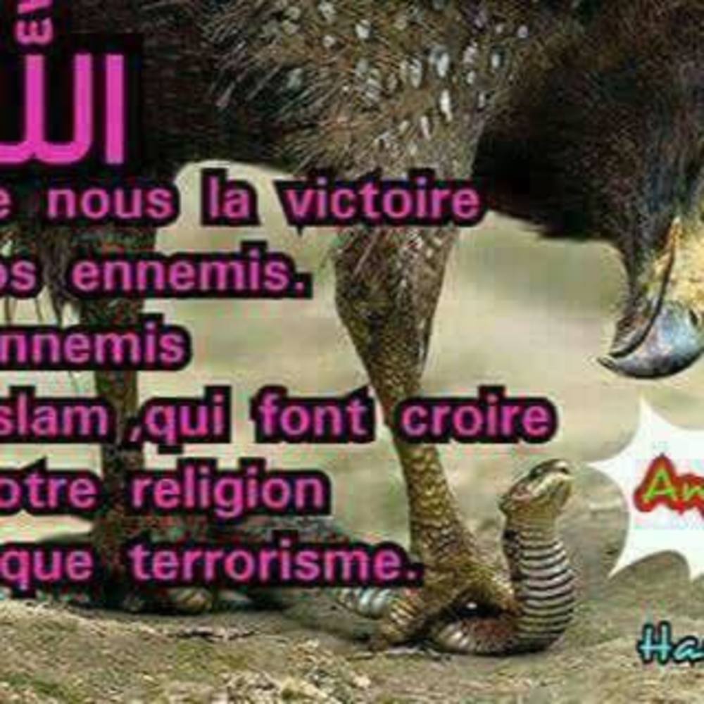 Meet your Posher, Zoumana